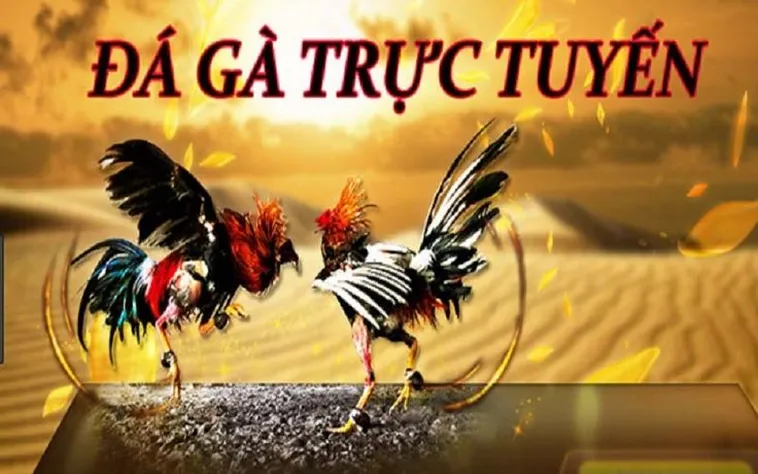 Đá Gà WS168 Tại FUN88: Trải Nghiệm Cá Cược Đỉnh Cao 2 Đá Gà WS168 Tại FUN88: Trải Nghiệm Cá Cược Đỉnh Cao