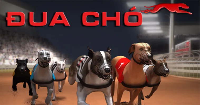 Hướng Dẫn Chơi Game Đua Chó Nhanh Tại FUN88: Bí Kíp Thắng Lớn